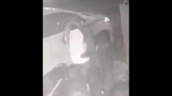 Terekam CCTV, Suami Istri di Makassar Maling Sepeda Lipat Warga