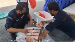 Jelang Nataru, Bulog Sumut Kehabisan Stok Daging Beku