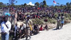 Pesta Adat Perdamaian di Intan Jaya, Marga Sani Bayar 150 Ekor Babi dan Uang Rp180 Juta
