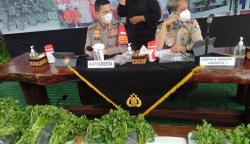 Polisi Gagalkan Penyelundupan 72.288 Benih Lobster, Disembunyikan dalam Sayuran<