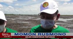Sekjen Kementan Sebut Program Food Estate di Kalimantan Tengah Berhasil