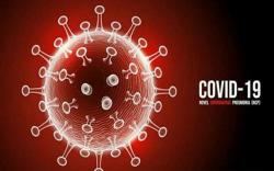 Update 22 Mei 2021: Pasien Positif Covid-19 Tambah 5.296 Jadi 1.769.940 Orang