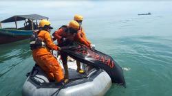 Loncat ke Laut di Pantai Labu, Pemuda di Deliserdang Ditemukan Tewas