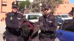 Bunuh dan Mutilasi Ibu Kandung karena Dengar Pesan Gaib, Pria Ini Dituntut 15 Tahun Penjara<