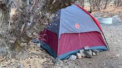 Hilang 6 Bulan, Perempuan Ini Ditemukan Tinggal dalam Tenda di Hutan