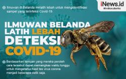 Infografis Ilmuwan Belanda Latih Lebah Deteksi Covid
