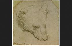 Gambar Kepala Beruang pada Sehelai Kertas Ini Bernilai Rp236 Miliar, Siapa Pembuatnya?