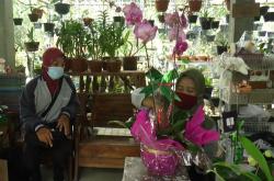 Hampers Anggrek Jadi Bingkisan Lebaran untuk Percantik Meja Tamu