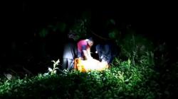 Ngeri, Bocah di Mamuju Tengah Tewas Diterkam Buaya