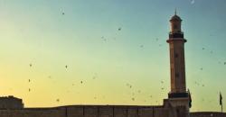 Rekomendasi Aplikasi untuk Bikin Kartu Ucapan Lebaran