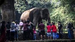 Anak Usia di Bawah 12 Tahun Boleh ke Tempat Wisata, Wagub DKI: Mereka Perlu Rekreasi