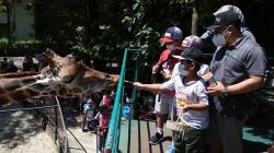 Hari Minggu KBS Kembali Dibuka, Pengunjung Dibatasi 25 Persen 