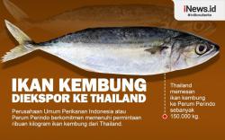 Infografis Thailand Pesan Ikan Kembung Ratusan Ton ke Indonesia