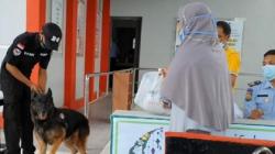 2 Anjing Pelacak Ditempatkan di Rutan Makassar Antisipasi Penyelundupan Narkoba