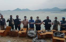 Penyelundupan Ratusan Ribu Ekor Benur dari Lampung Digagalkan<