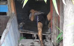 Seorang Pemuda di Medan Labuhan Luka-Luka Disenggol Kereta Api, Sempat 3 Jam Telantar