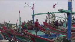 Masa Peralihan, Nelayan Tegal Berharap Tetap Diperkenankan Pakai Cantrang 