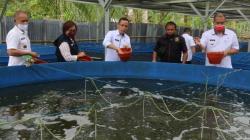 Pemkot Tomohon Dorong Kelompok Budi Daya Ikan Gunakan Teknologi Bioflok