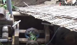 Video 2 Penggali Sumur di Probolinggo Tewas Keracunan Gas