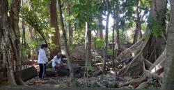 Mengenal Batu Niopo, Situs Budaya Suku Bantik Paling Keramat di Manado 
