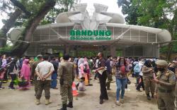 Pengunjung Kebun Binatang Bandung Meningkat 50 Persen saat Libur Tahun Baru
