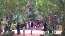 6 Tempat Wisata di Bandung Ditutup Mulai Hari Ini, Salah Satunya Kebun Binatang<