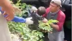 Viral, Pria Bertopi Selamatkan Balita dari Mobil Terbalik, Netizen: Hatur Nuhun!