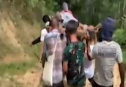 Video Pria di Aceh Kritis usai Diserang Gajah Liar