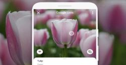 Ingin Pindahkan Teks dari Buku ke Komputer? Begini Caranya