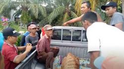 Suami Tewas Tenggelam saat Cari Kangkung di Sungai, Istri Pingsan