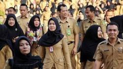  Waduh, BKN Temukan 97.000 Data ASN Misterius di 2014