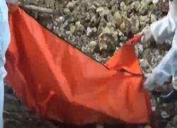 Video Penemuan Mayat Bayi di Bone pada Tumpukan Sampah
