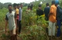 Video Penemuan Tengkorak Manusia dalam Kebun Singkong di Lampung Gegerkan Warga