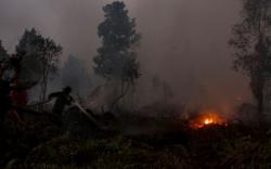 8 Kabupaten di Sumsel Siaga Karhutla<
