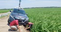 Viral Mobil Google Maps Terperosok di Tengah Sawah, Netizen: Makanya Jangan Nyasarin Orang