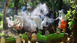 Kasus Covid-19 di Kudus Meledak, Sehari 15 Jenazah Dimakamkan