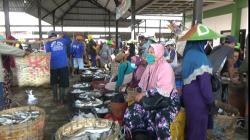 Harga Ikan Anjlok saat Panen Raya, Petani Tambak di Lamongan Merugi