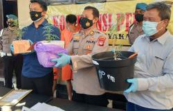 Simpan dan Tanam Ganja, 3 Pemuda Jogja Terancam 20 Tahun Penjara