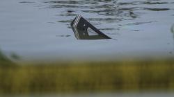 Lokasi Pesawat Latih Jatuh di Setu Rawa Jemblung Buperta Dipasang Garis Polisi