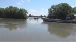 Banjir Rob Terjang Area Tambak Ikan di Sidoarjo, Petani Merugi Ratusan Juta 