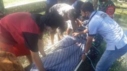 Duel Pakai Cangkul dan Parang, Petani Ditemukan Tewas di Pematang Sawah