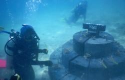 Sensasi Menikmati Karimunjawa sambil Memperbaiki Terumbu Karang 