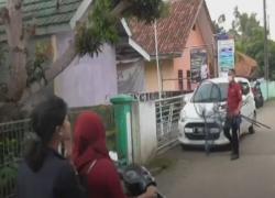 Video 5 Monyet Liar Masuk ke Permukiman Warga di Tangerang