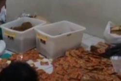 Video Gerebek Gudang dan Pabrik Rumahan Ganja Sintetis di Bogor, Polisi Tangkap Pembuatnya