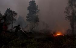 Ratusan Hotspot Terdeteksi, Walhi Sumsel: Satgas Karhutla Harus Antisipasi<