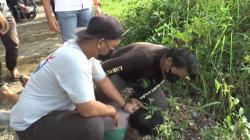 Raja Curanmor di Sawahlunto Keok Ditangkap Polisi, 21 Motor Disita