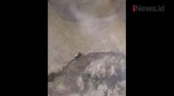 Video Asap Misterius dengan Bau Menyengat Muncul dari Bawah Tanah di Cilegon