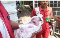 Muba Heboh, Bayi Perempuan Baru Lahir Dibuang di Toilet SPBU <