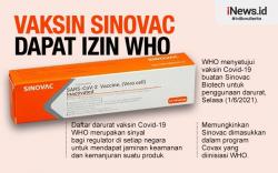 Infografis WHO Beri Izin Penggunaan Vaksin Sinovac