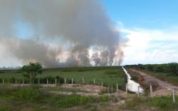 Lahan Warga di Tepian Tol Palindra Kembali Terbakar